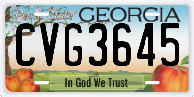 GA license plate CVG3645