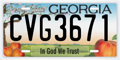 GA license plate CVG3671