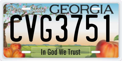 GA license plate CVG3751