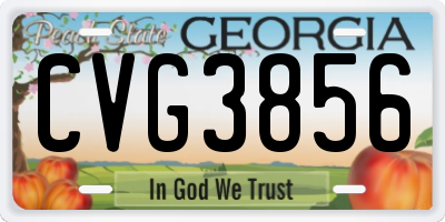 GA license plate CVG3856