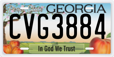 GA license plate CVG3884