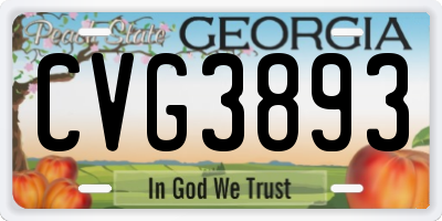GA license plate CVG3893