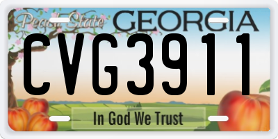GA license plate CVG3911