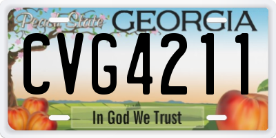 GA license plate CVG4211