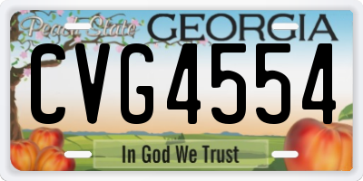 GA license plate CVG4554