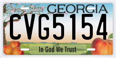 GA license plate CVG5154