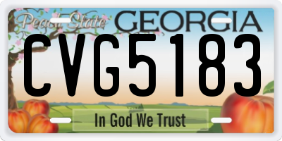 GA license plate CVG5183