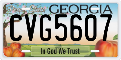 GA license plate CVG5607