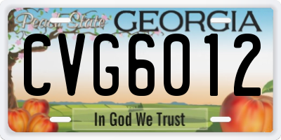 GA license plate CVG6012