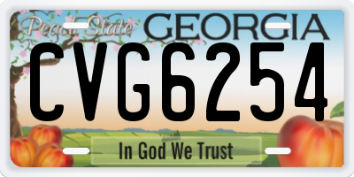 GA license plate CVG6254