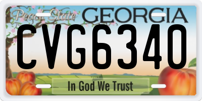 GA license plate CVG6340