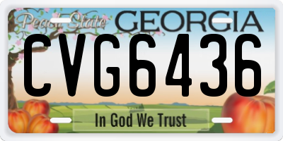 GA license plate CVG6436