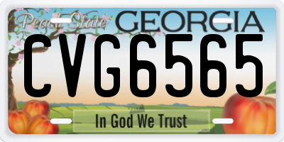GA license plate CVG6565