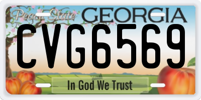 GA license plate CVG6569