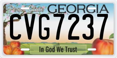 GA license plate CVG7237