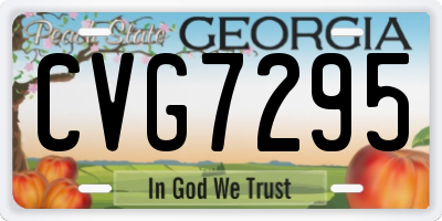 GA license plate CVG7295