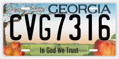GA license plate CVG7316