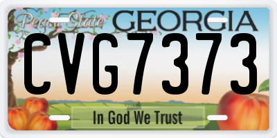 GA license plate CVG7373