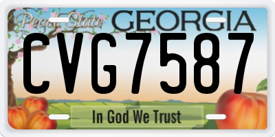 GA license plate CVG7587