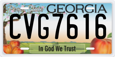 GA license plate CVG7616