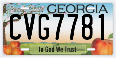 GA license plate CVG7781