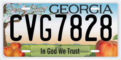 GA license plate CVG7828