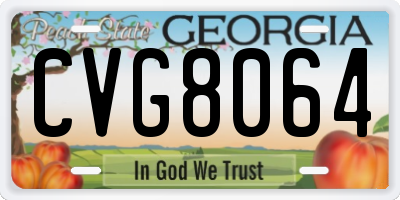 GA license plate CVG8064