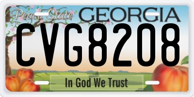 GA license plate CVG8208