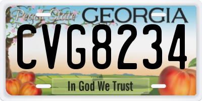 GA license plate CVG8234
