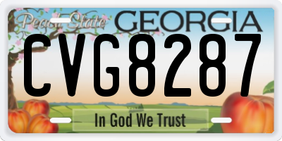 GA license plate CVG8287