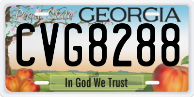 GA license plate CVG8288