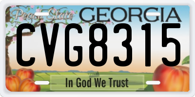 GA license plate CVG8315