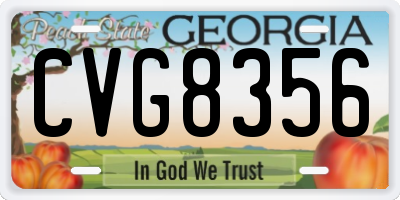 GA license plate CVG8356