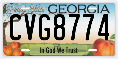 GA license plate CVG8774
