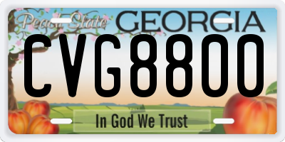 GA license plate CVG8800