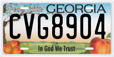 GA license plate CVG8904