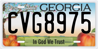 GA license plate CVG8975