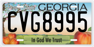GA license plate CVG8995