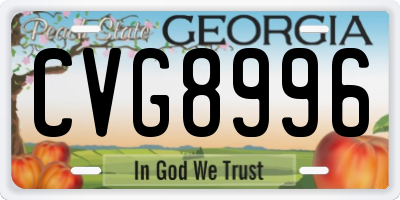GA license plate CVG8996