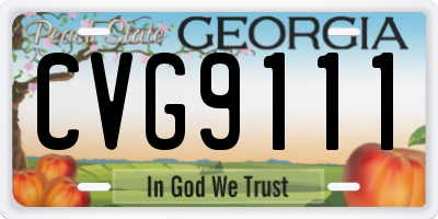 GA license plate CVG9111