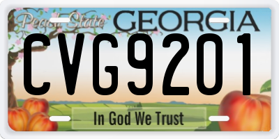 GA license plate CVG9201