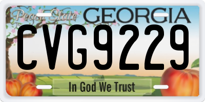 GA license plate CVG9229