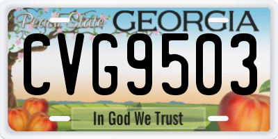 GA license plate CVG9503