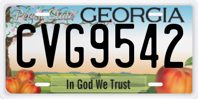 GA license plate CVG9542