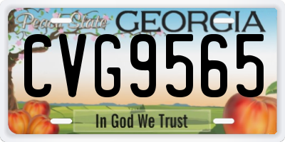 GA license plate CVG9565