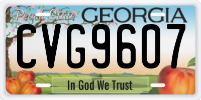 GA license plate CVG9607