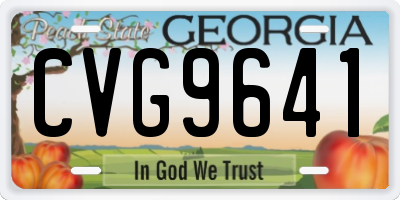 GA license plate CVG9641