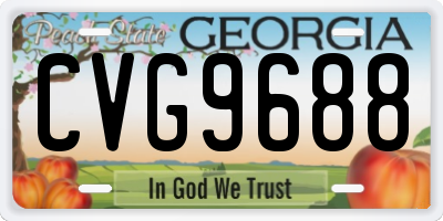 GA license plate CVG9688