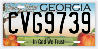 GA license plate CVG9739