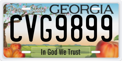 GA license plate CVG9899